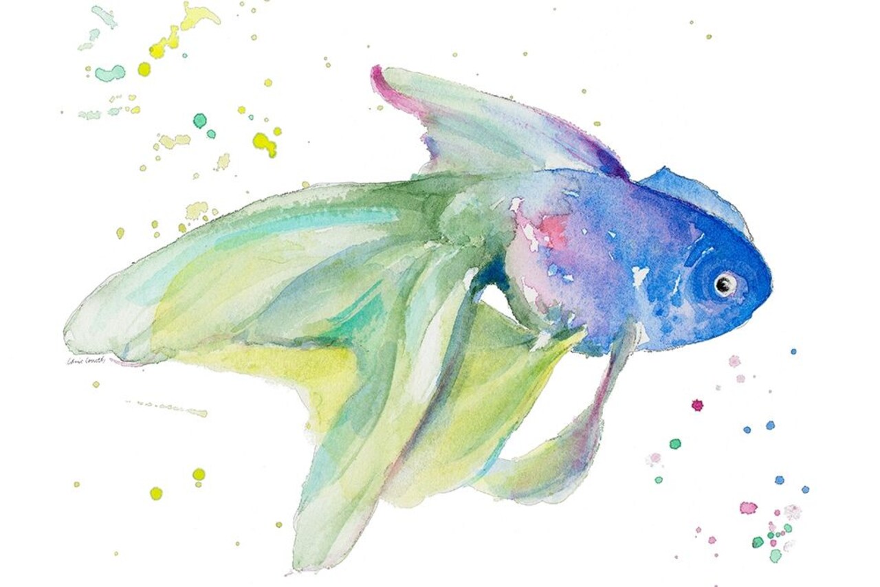 Aquarium Life II Poster Print by Lanie Loreth - Item # VARPDX13424A